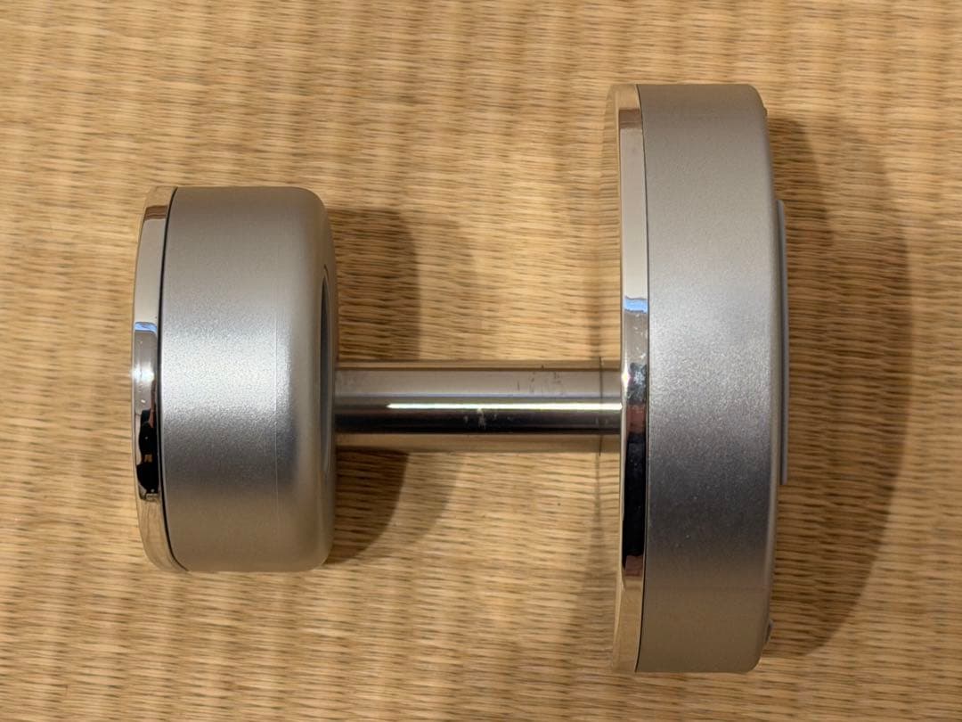 【美品】Panasonic 電動歯ブラシ ドルツ EW-DP51 シルバー