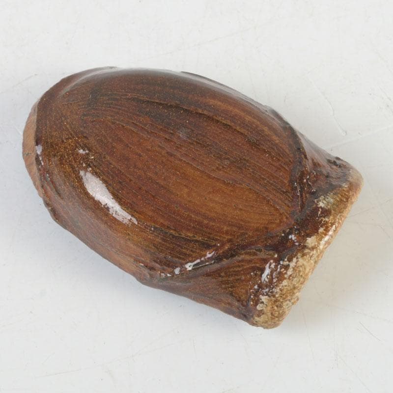 茶道具　輪島塗　塗師　川岸英之作　筍香合　共箱　V　9814