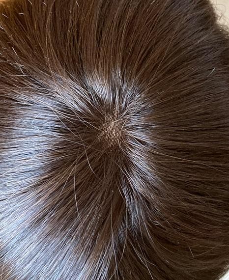 じゃみ　ナオアート　PURE101　ショート　ダークブラウンM