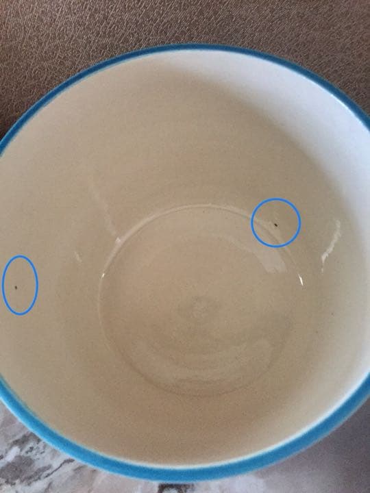 茶道具  水指  中村翠嵐  七宝草花浅黄交趾水指　美品