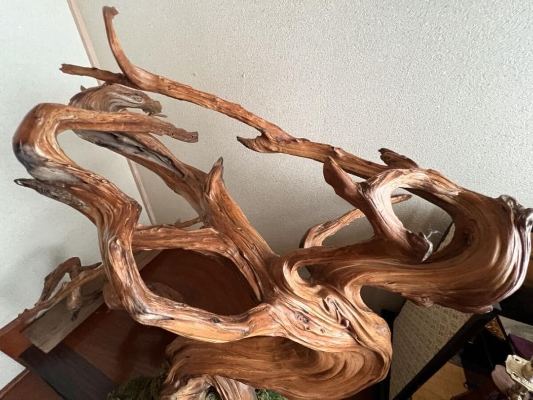 入手困難！超貴重な知床真柏を手作業で磨いたオブジェ