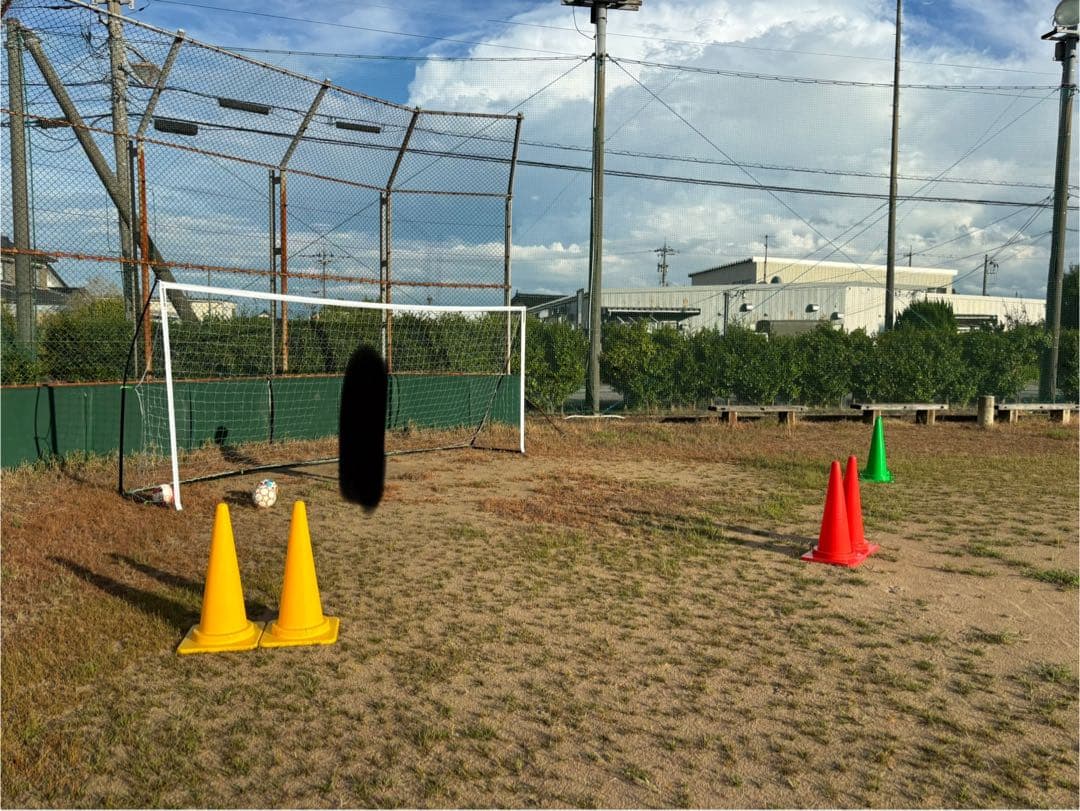 [クイックプレイ] 組立ELITEシリーズ ポータブル サッカーゴール4.9m