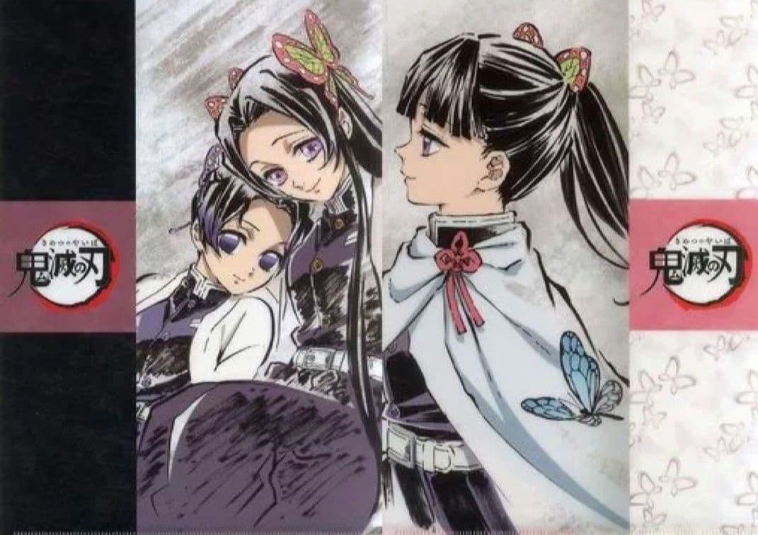 鬼滅の刃 アイキャッチ クリアファイル 2枚セット しのぶ&カナエ カナヲ