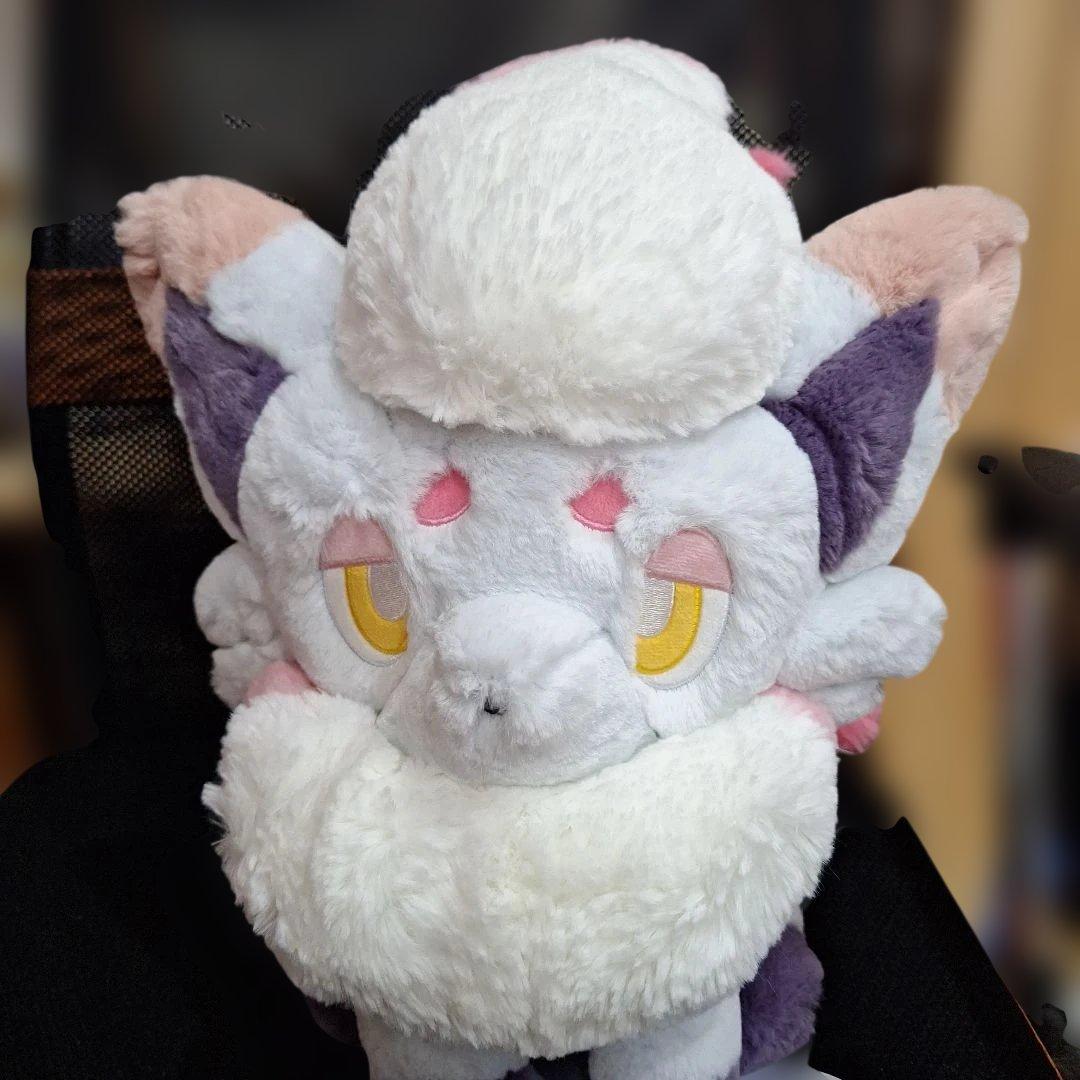 ポケモンセンター　ふわふわ抱きぬいぐるみ　ヒスイ　ゾロア　ネッコアラ　クッション