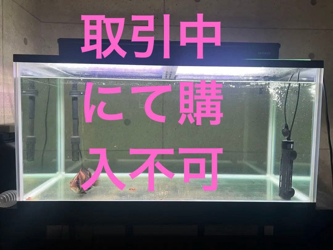 コトブキ90センチガラス水槽