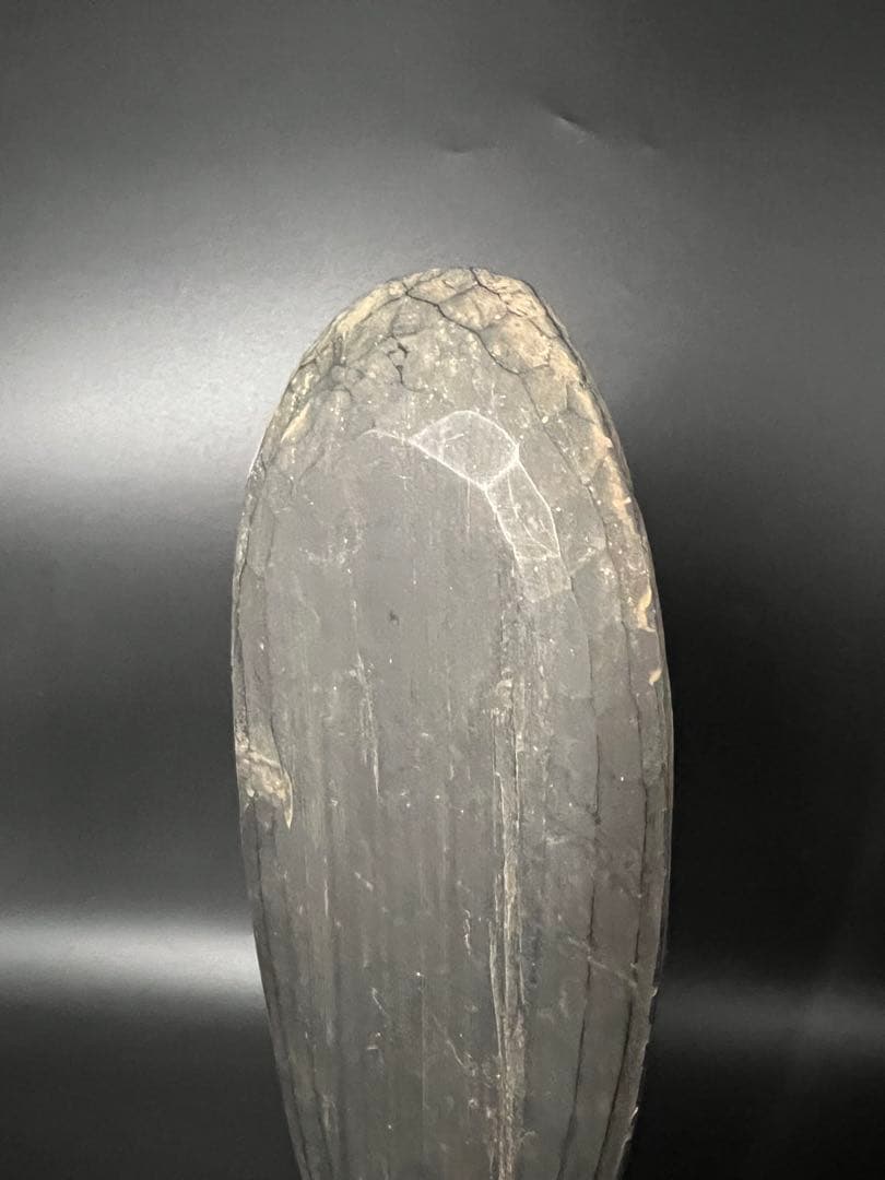 江戸時代後期 木彫 阿弥陀如来立像 仏像 舟形光背 古仏 仏教美術◎ 古美術庵々