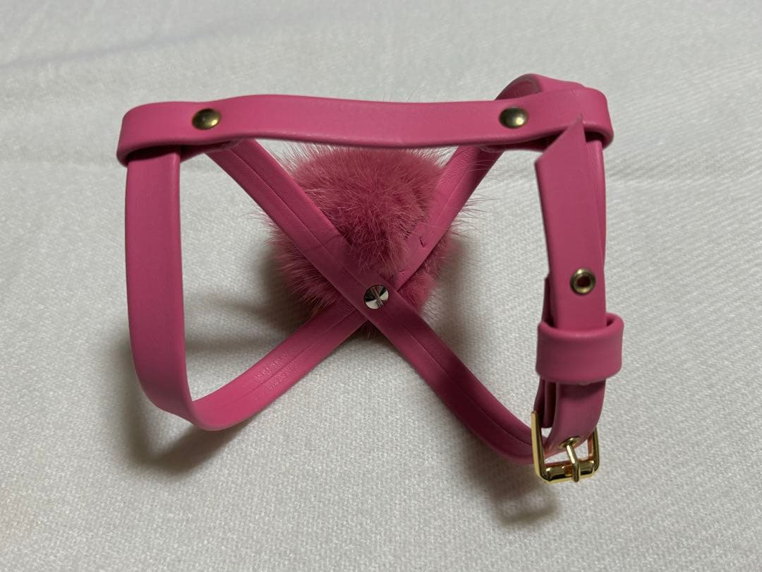 ファーがキュートなイタリア製のハーネス＆リードXXS美品