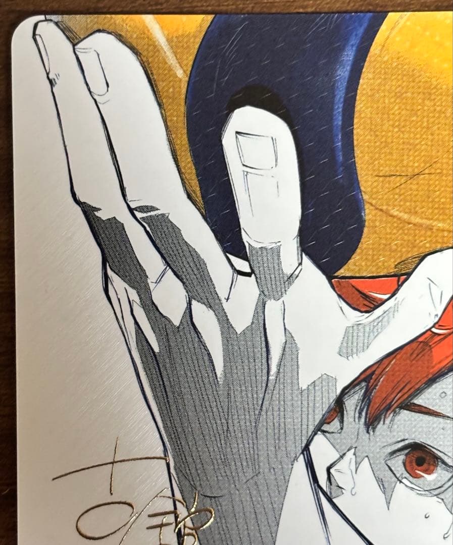 日向翔陽 極 サイン入り シリアルナンバー入り ハイキュー!! バボカ!!