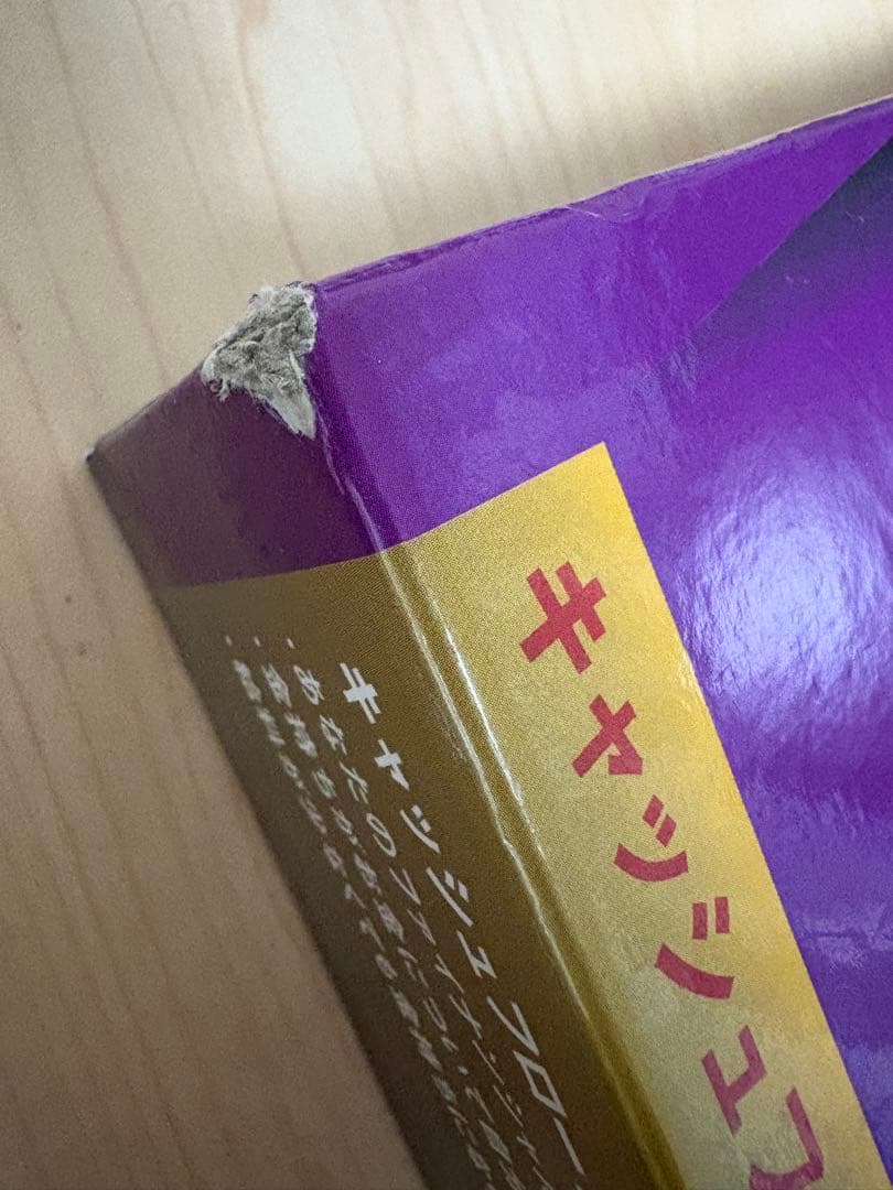 キャッシュフロー101 日本語版