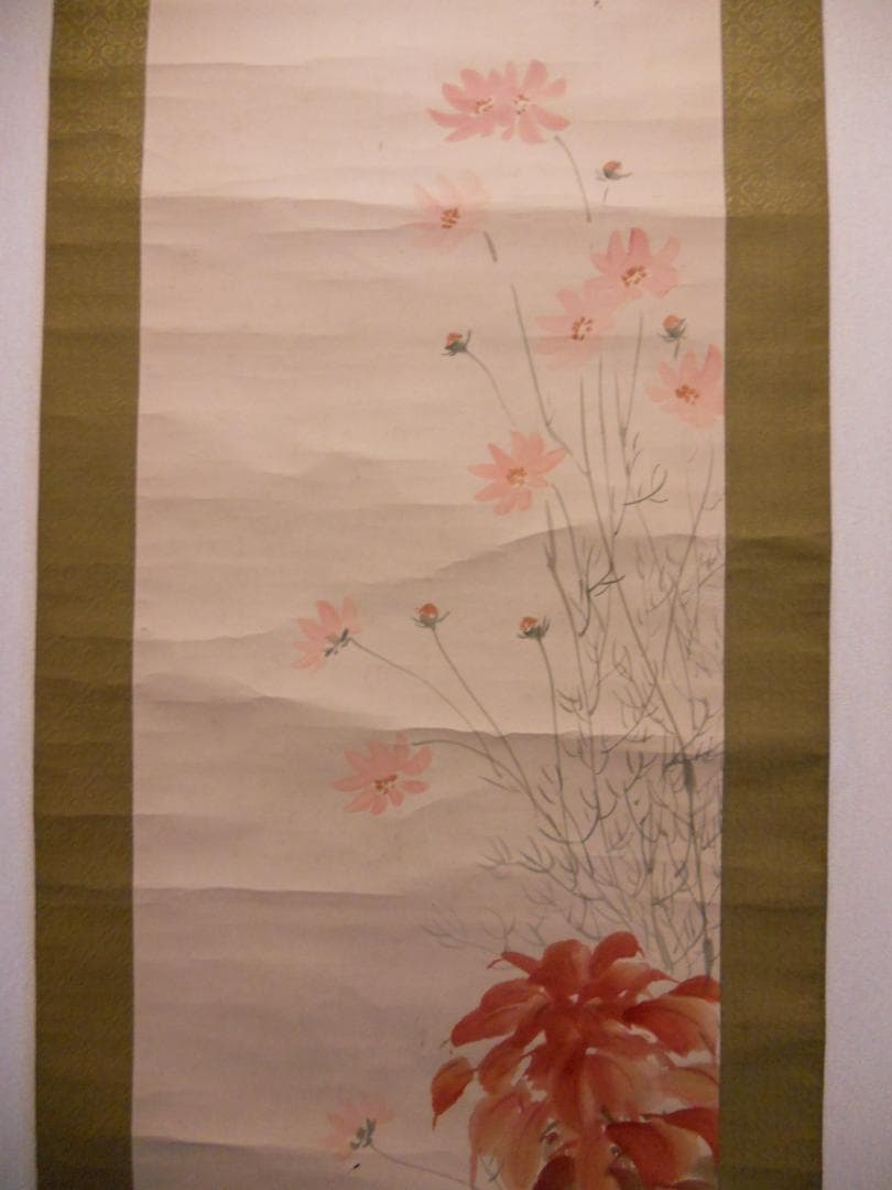 掛け軸 秋香 コスモス 葉鶏頭 紙本 希少 軸装 茶道具 掛軸 です。