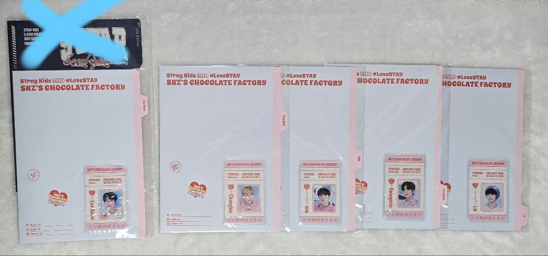 StrayKids　10cmぬい、プロフィールファイル　セット