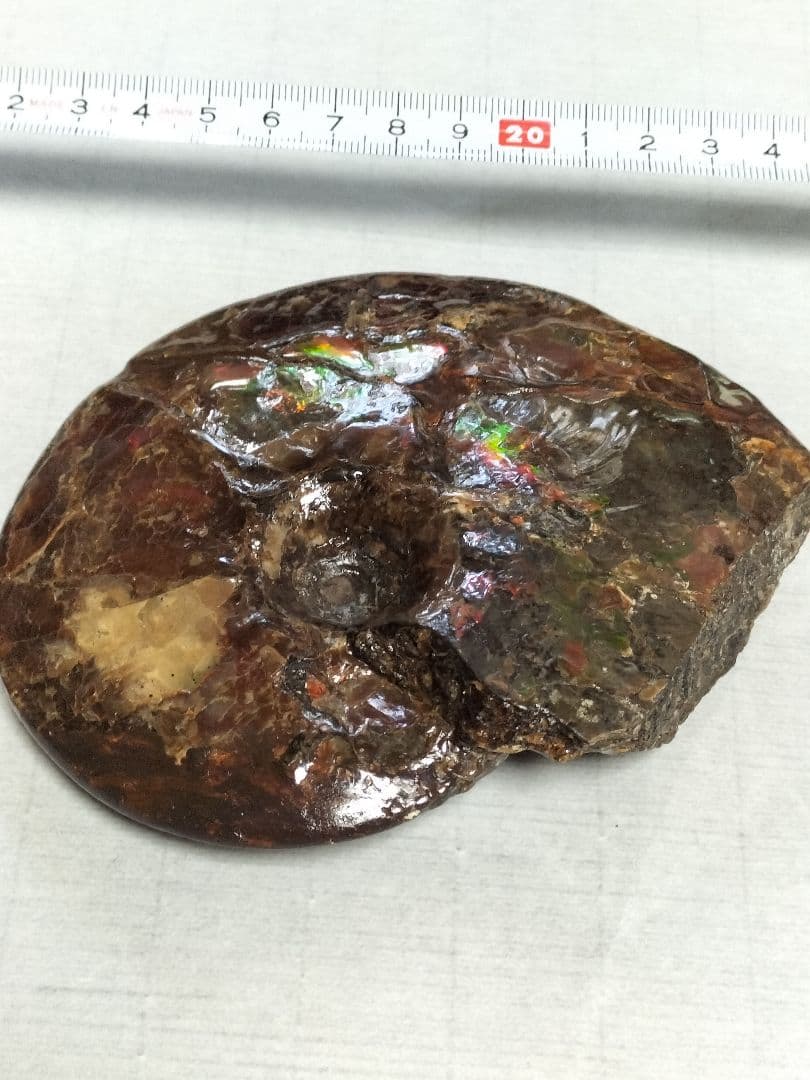 アンモライト原石