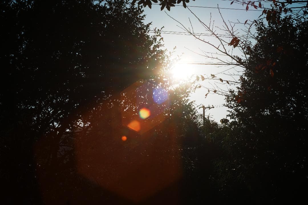 【希少・整備＆テスト済】FUJINON 50mm F1.4 M42 697