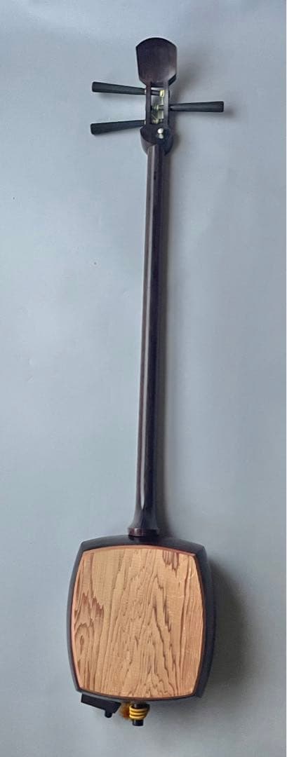 レア楽器　「サバミセン」　エレクトリック対応、撥・ハードケース付き