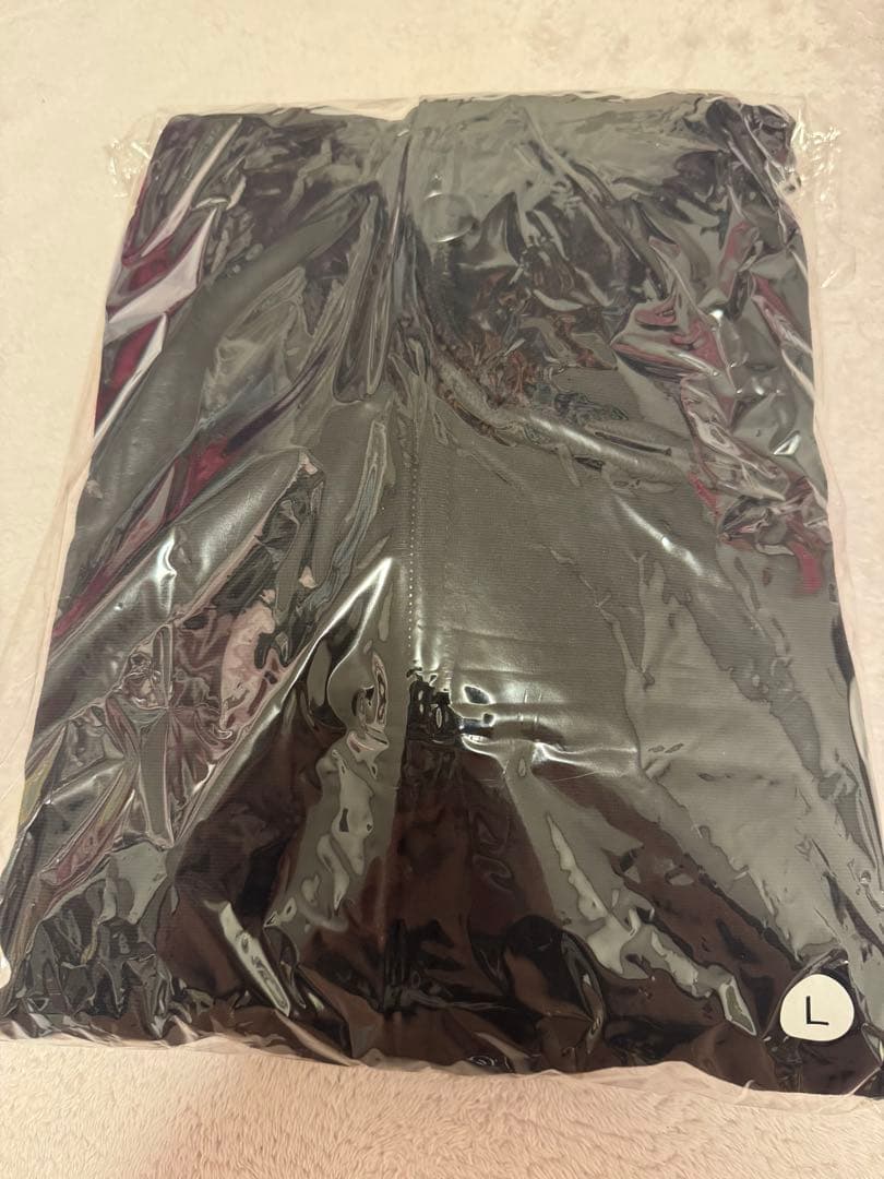 the GazettE ロゴパーカー 新品未使用品