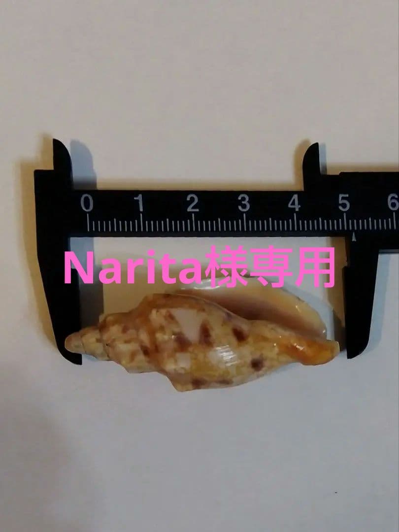 Narita様 リクエスト 7点 まとめ商品