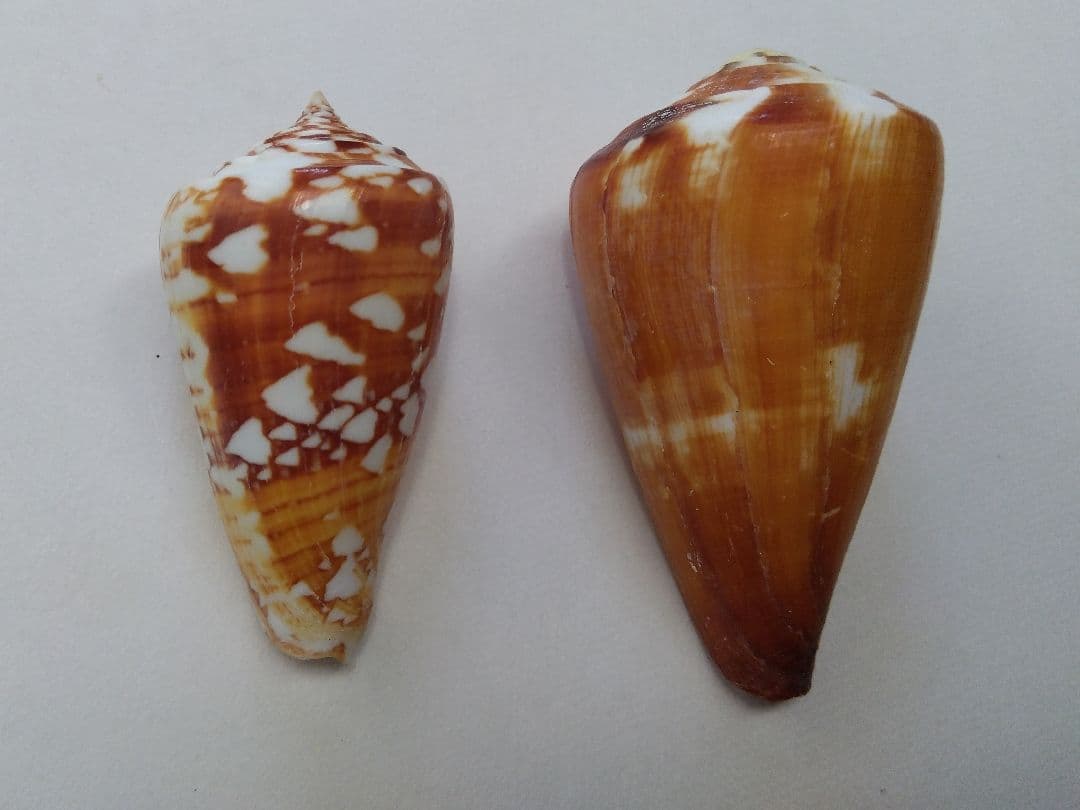 Narita様 リクエスト 7点 まとめ商品