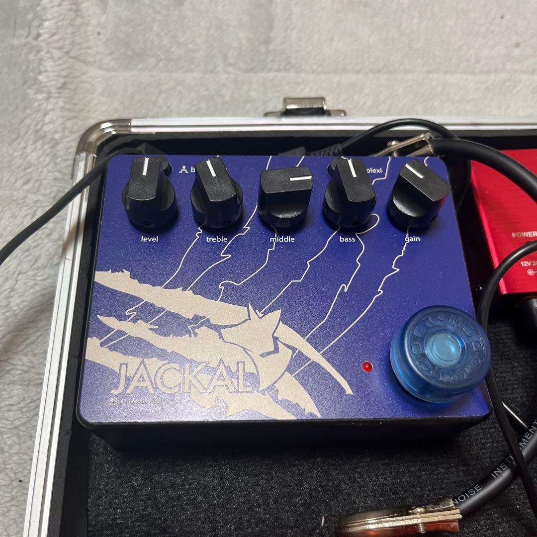 美品　 ジャッカル イシバシ楽器限定カラー 箱付