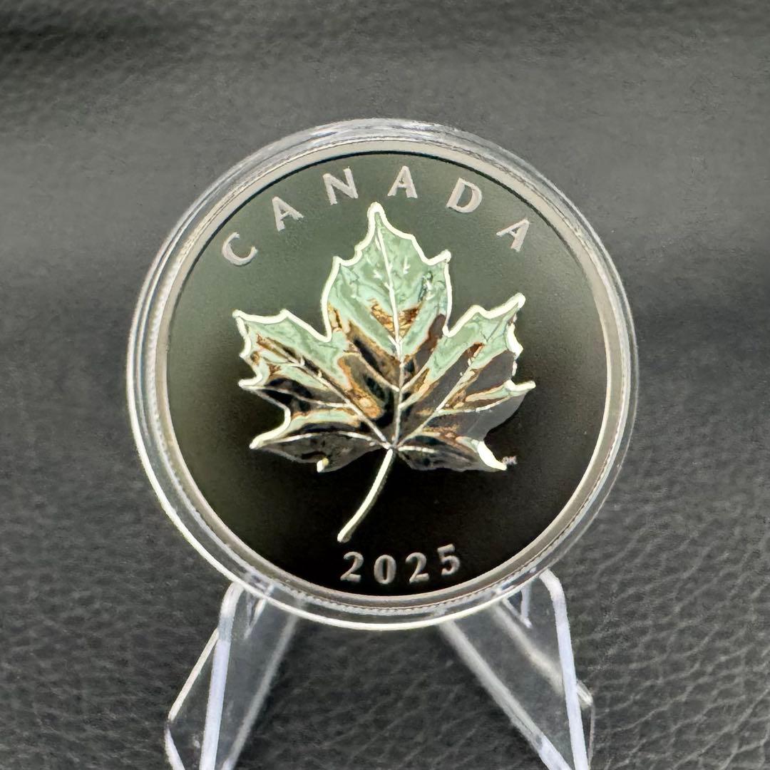 カナダ エレガントメイプルリーフ 銀貨 ブラックロジウム 艶消しプルーフ 保証書