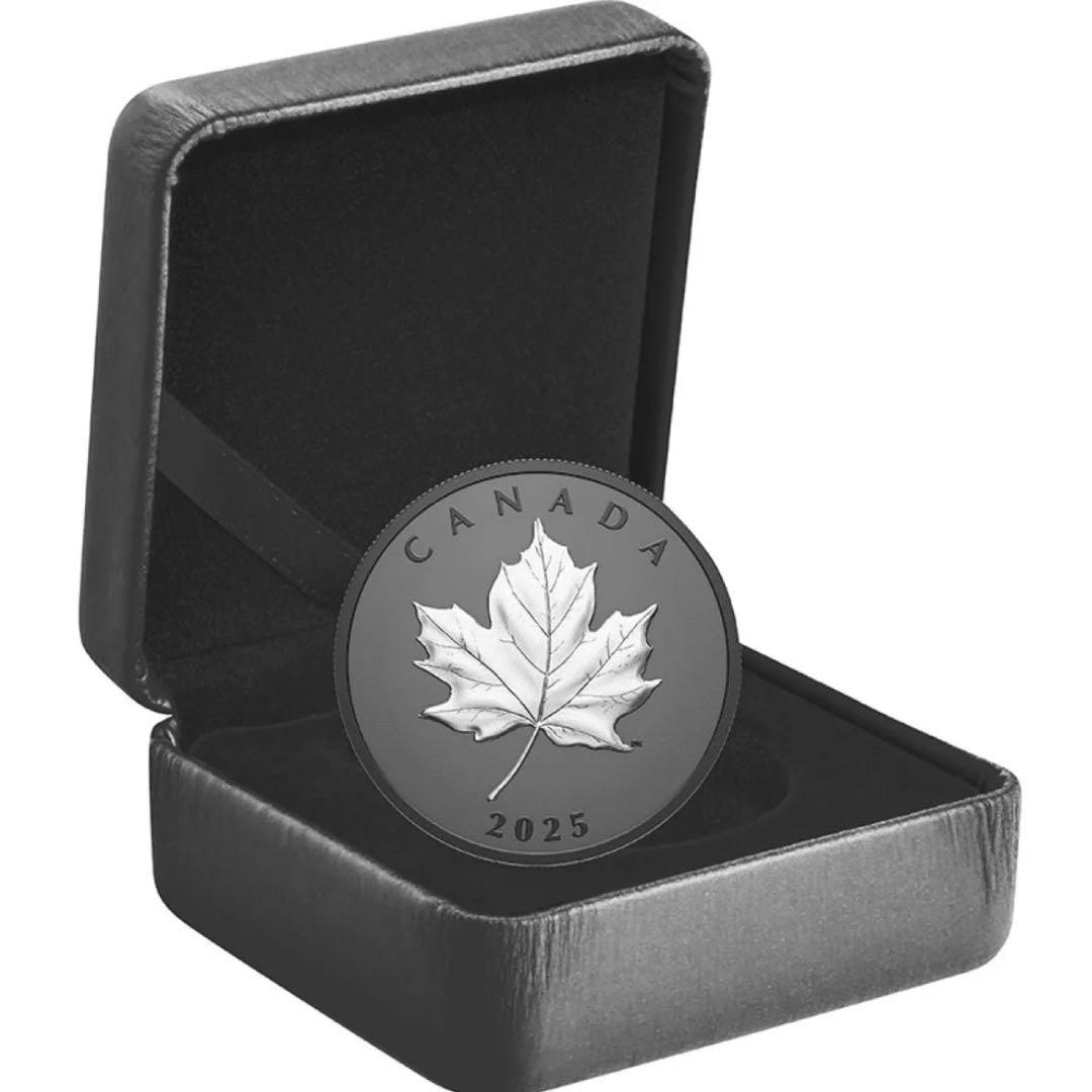 カナダ エレガントメイプルリーフ 銀貨 ブラックロジウム 艶消しプルーフ 保証書