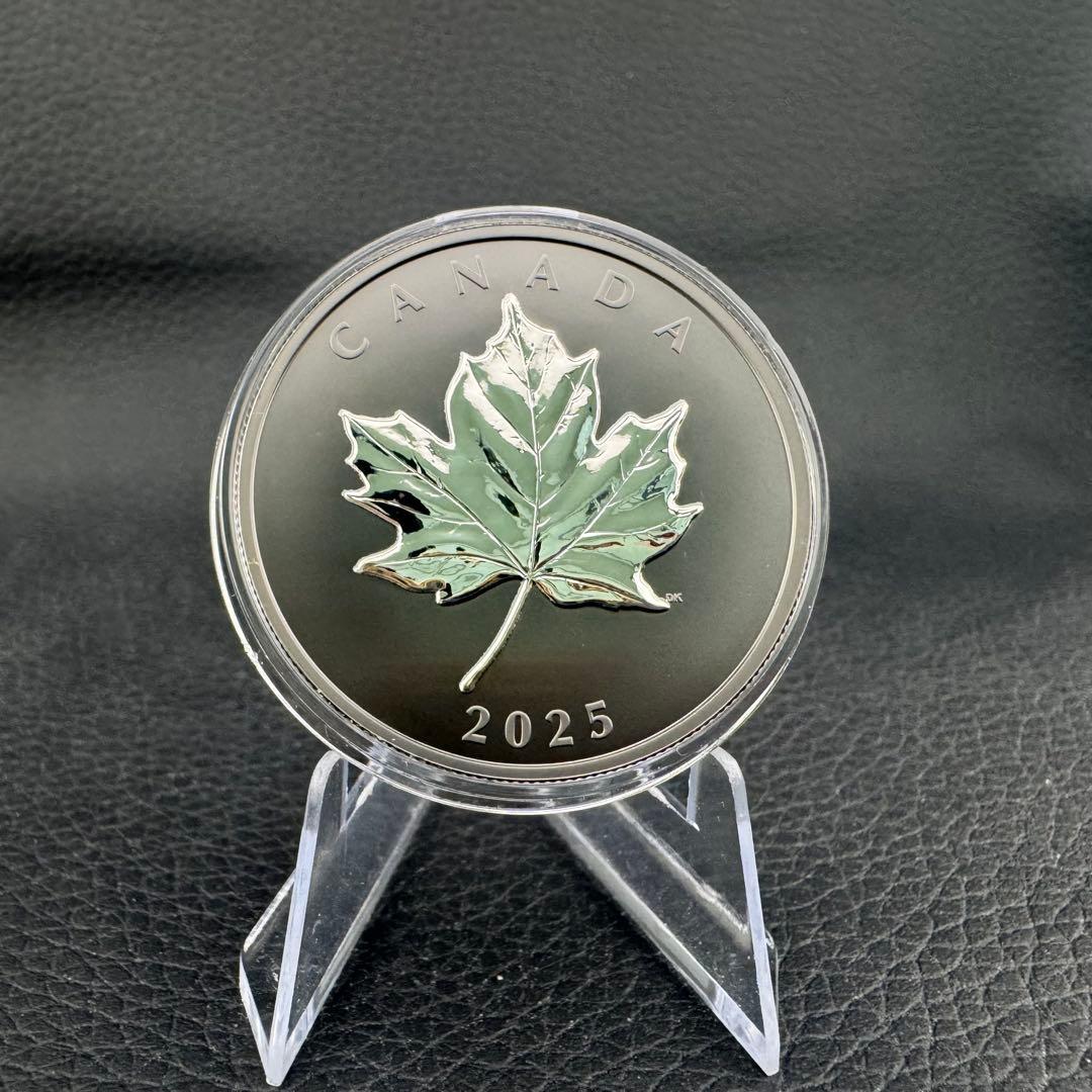 カナダ エレガントメイプルリーフ 銀貨 ブラックロジウム 艶消しプルーフ 保証書