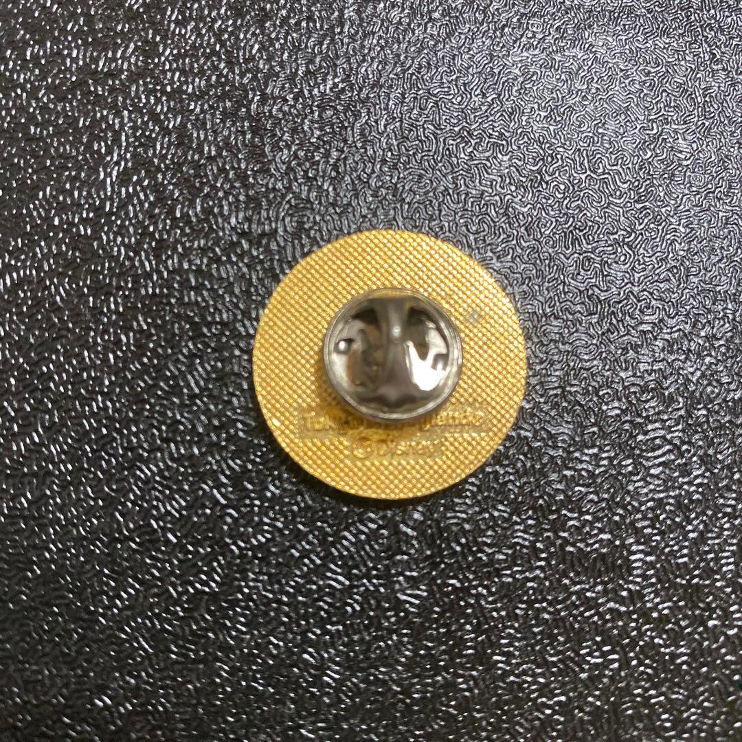 東京ディズニーランド TDL 10周年記念 ピンバッジ　ピンズ　限定　ディズニー