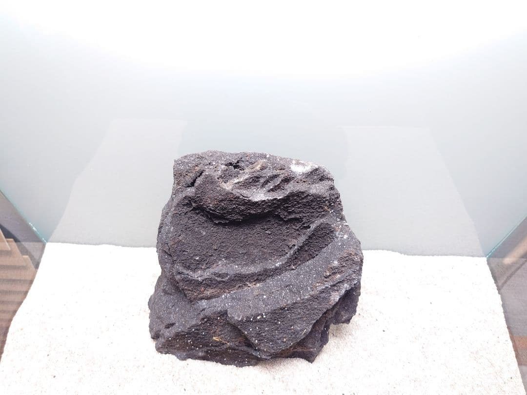 ADA 山水石セット約19キロ（箱含む）　DOOA　パルダリウム　テラリウム