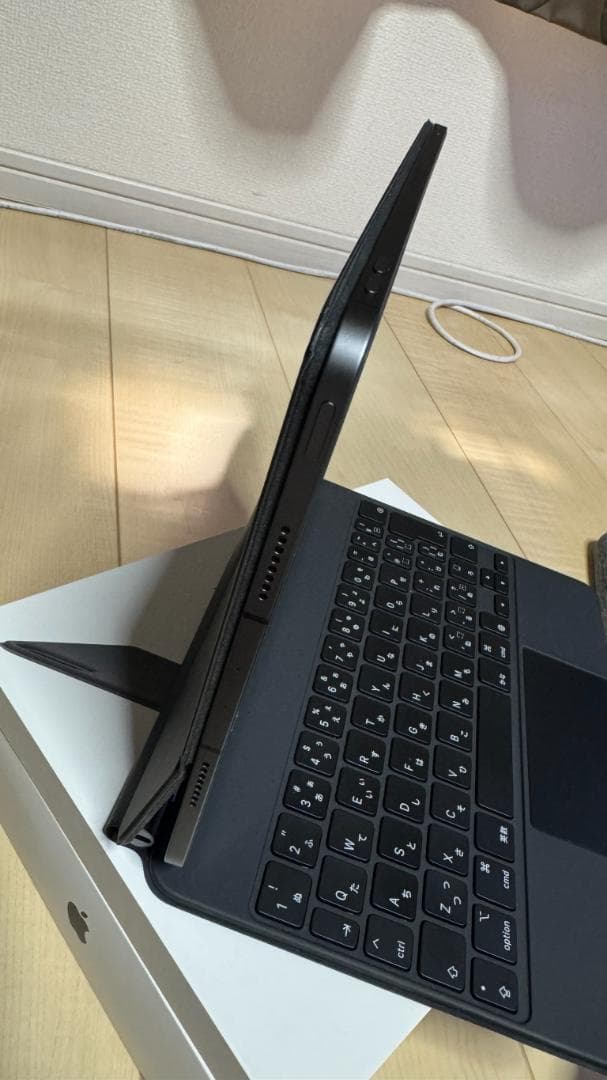 Apple iPad Pro 11インチ 第3世代 256GB Wifiセルラー