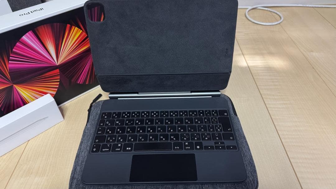 Apple iPad Pro 11インチ 第3世代 256GB Wifiセルラー