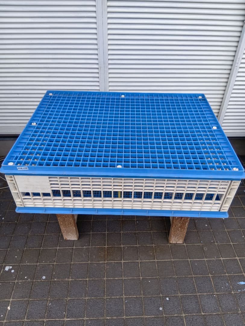 放鳩籠　コンテナ　レース鳩　移送　搬送　輸送　コンテナー　キャディー　愛鳩の友