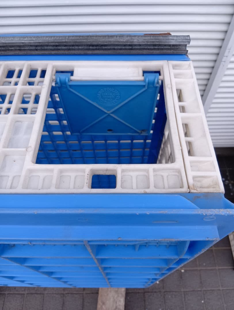 放鳩籠　コンテナ　レース鳩　移送　搬送　輸送　コンテナー　キャディー　愛鳩の友