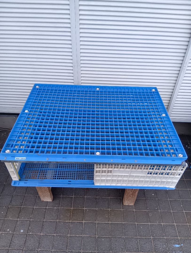 放鳩籠　コンテナ　レース鳩　移送　搬送　輸送　コンテナー　キャディー　愛鳩の友