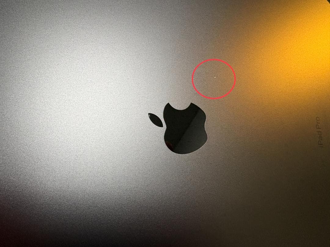 iPad Pro (M4) 13インチ　256GB　本体