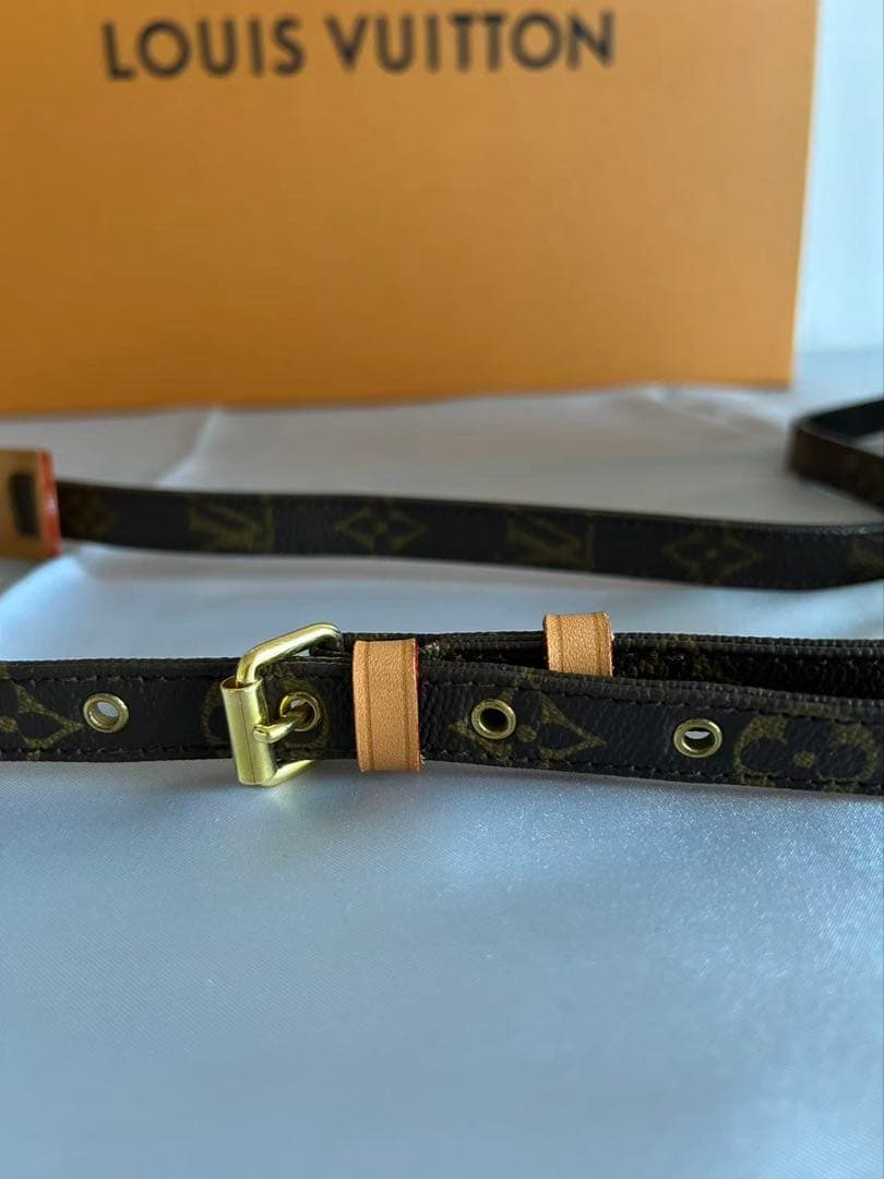 D*G様 ヴィトン　美品　アマゾン　モノグラムショルダーバッグ　最終値下げ