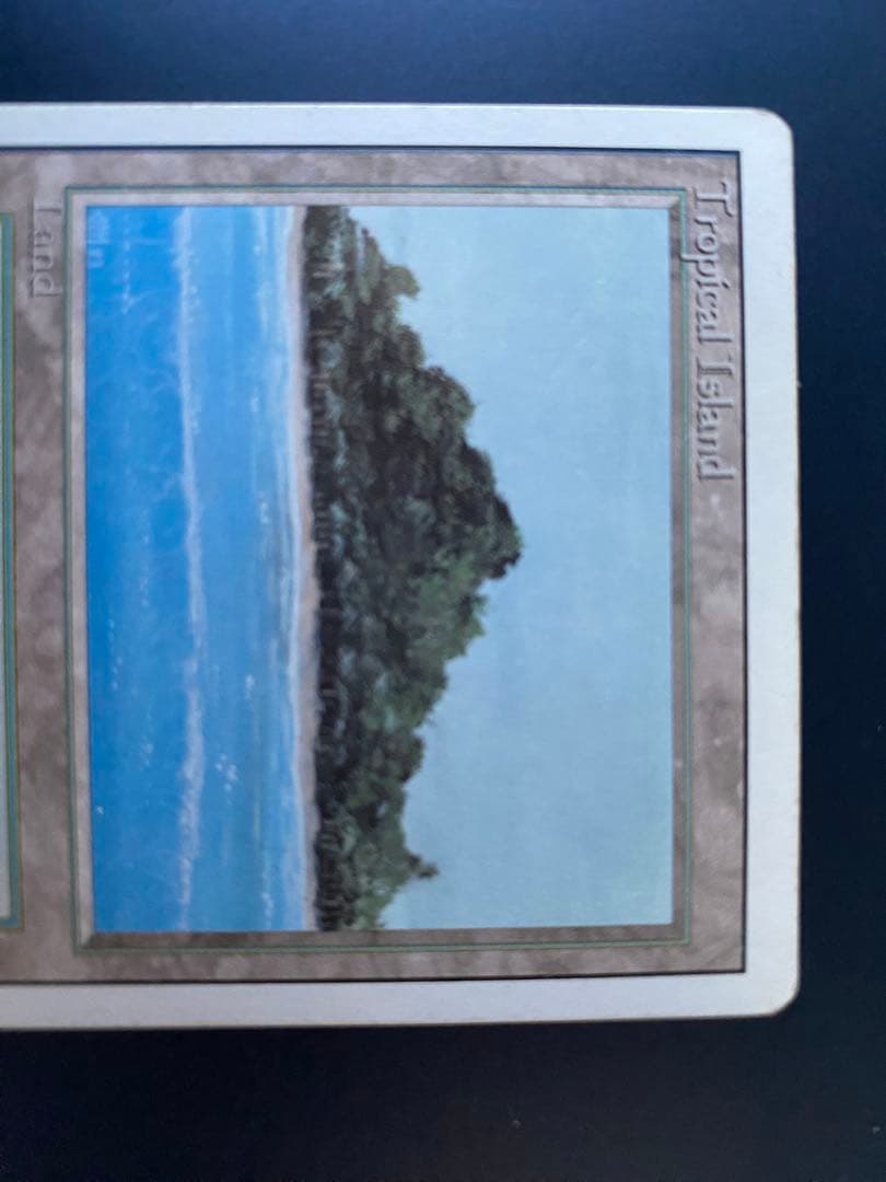 マジック：ザ・ギャザリング MTG 3ED Tropical 