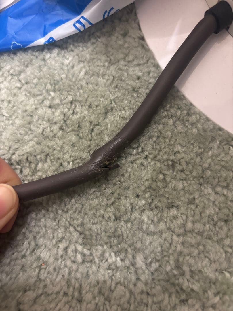 dyson Hot+Cool 扇風機　AM09 2022年購入