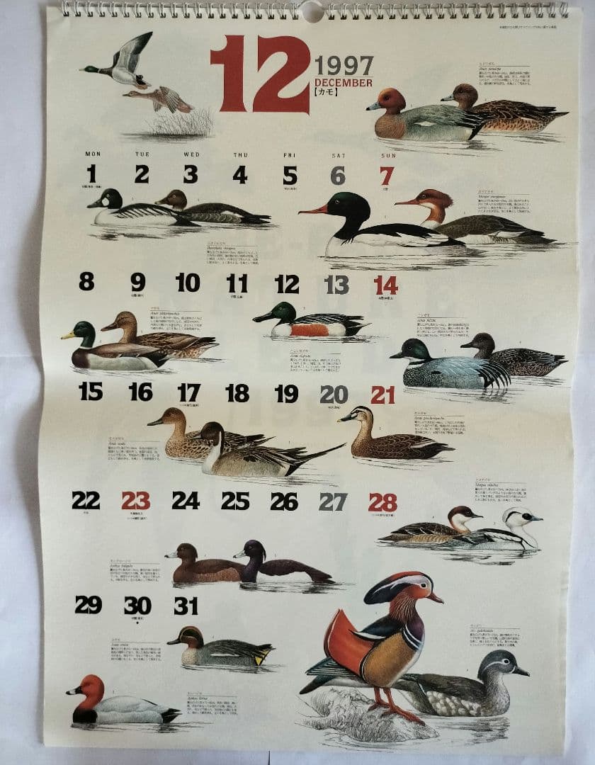 BE-PAL ビーパル カレンダー 新品未使用 1997年　ヴィンテージ