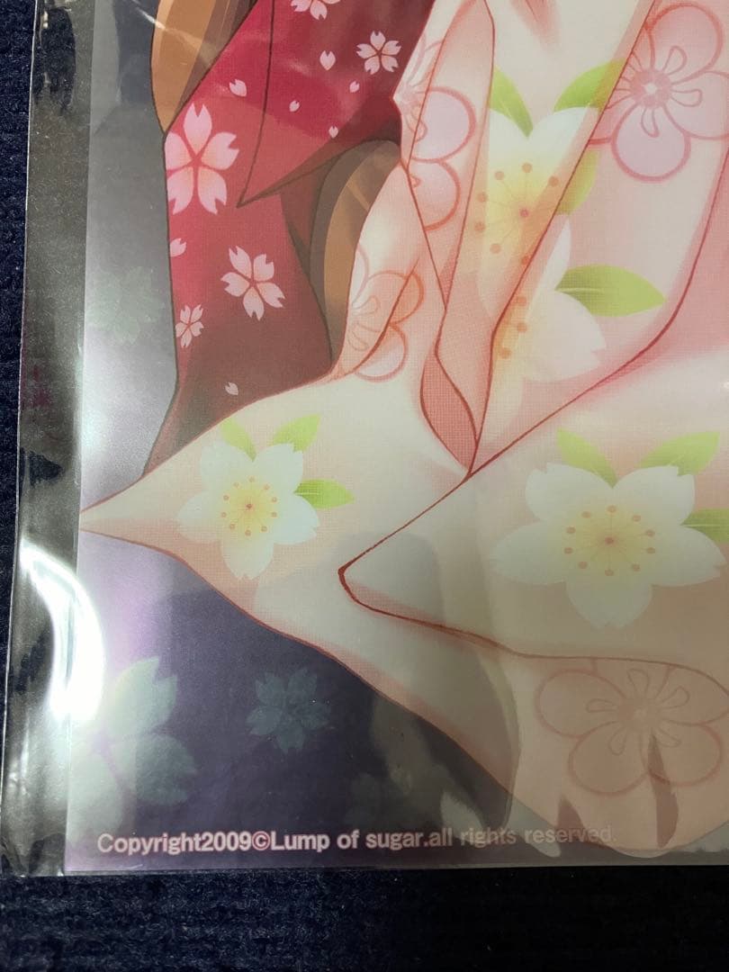 【非売品】タユタマ 萌木原ふみたけ 描き下ろし クリアポスター