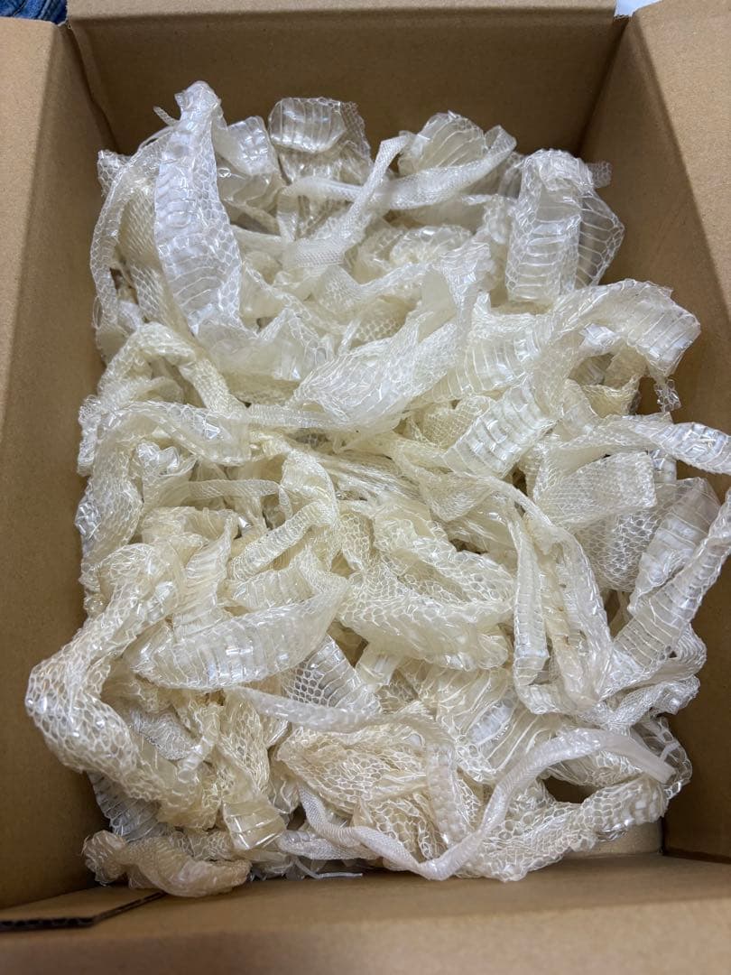 白ヘビの抜け殻