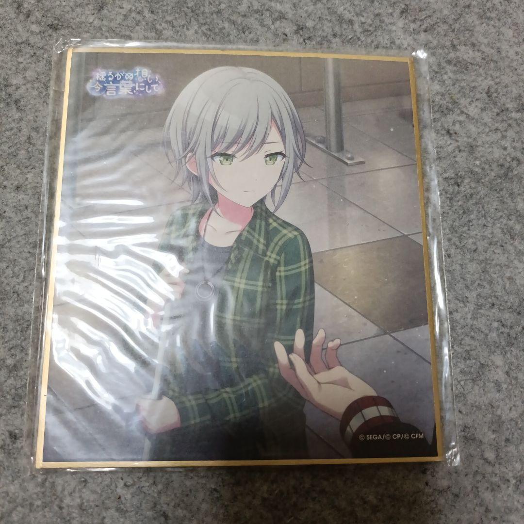 P様の確認用　11枚