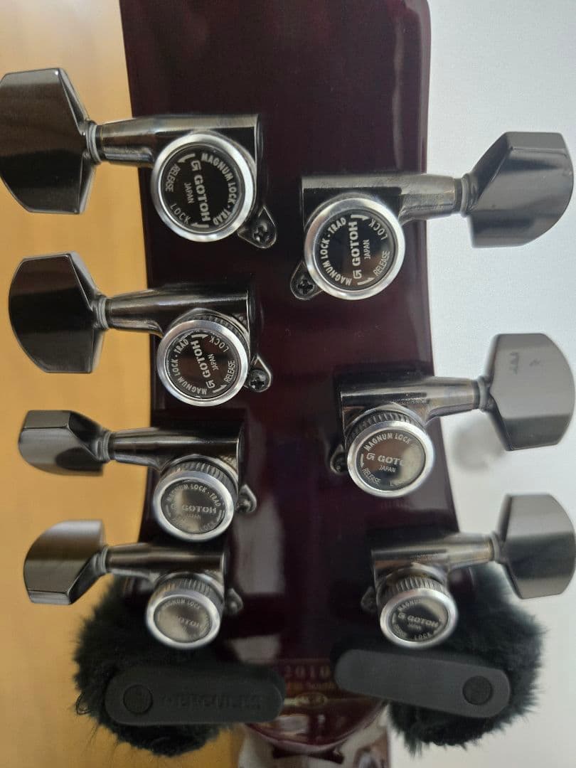 Schecter AD-C-7-HR (Black Cherry) 7弦