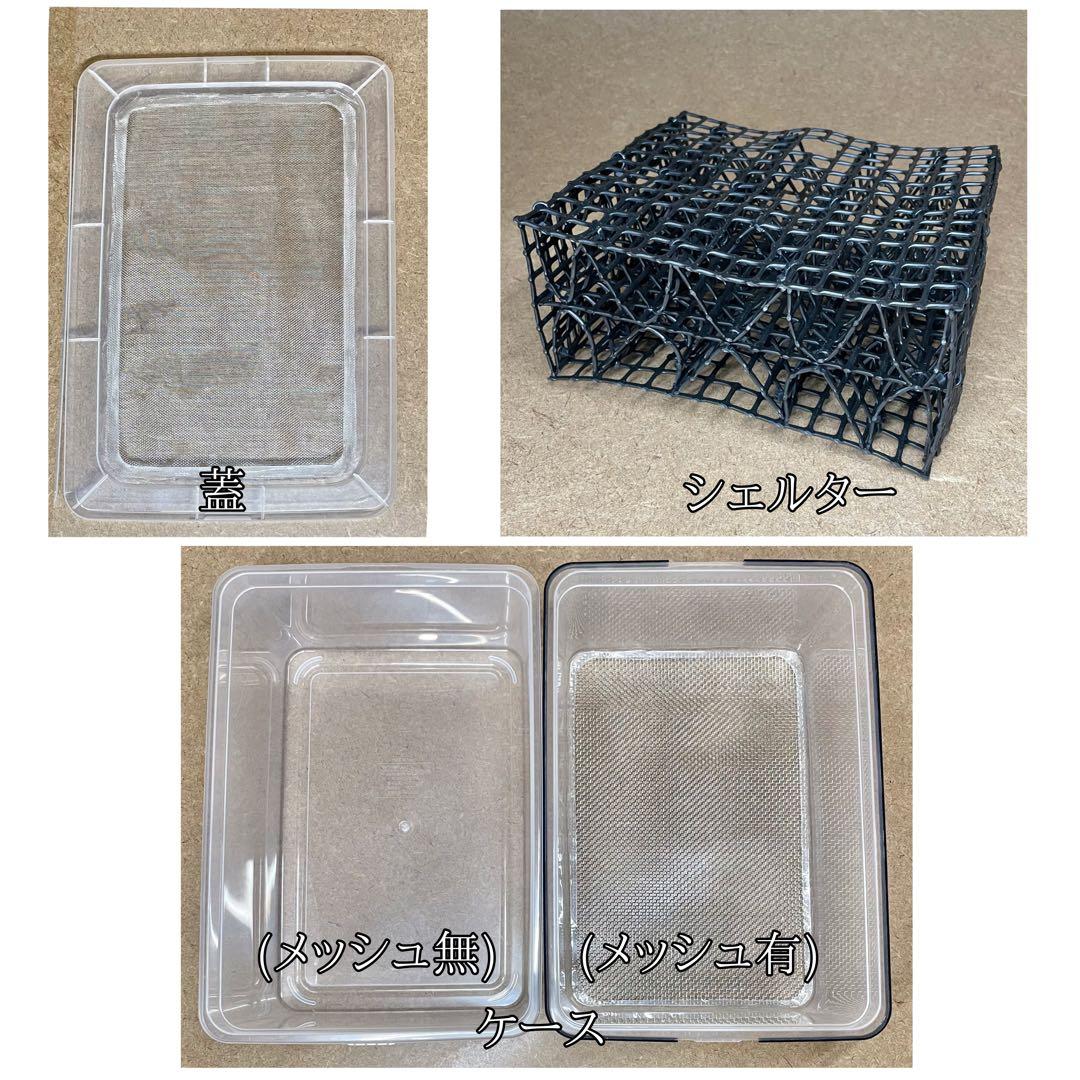 くに様　M(フル)