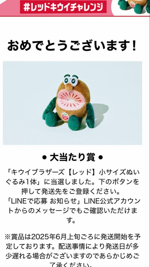 Zespri キウイブラザーズ大当レッド１つ　In Redエコバッグ付録２つ