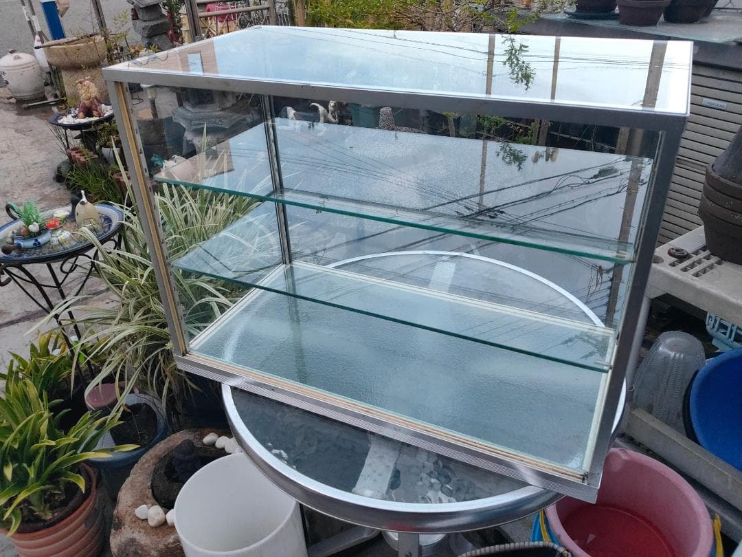 陳列ガラスショーケース☆w600x310x435☆棚板２枚