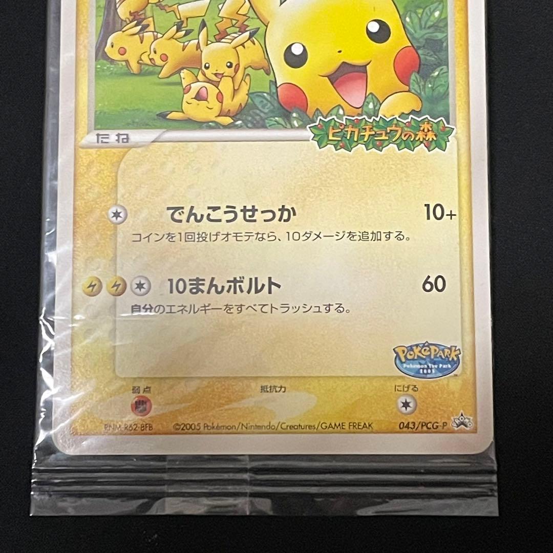 K*A様 ポケパークのピカチュウ PROMO PCG-Pプロモカード ①