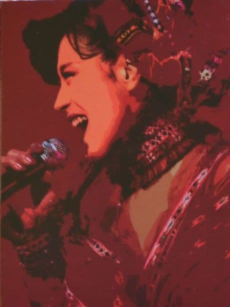 中森明菜／1994-2009 THE LIVE DVD COMPLE…