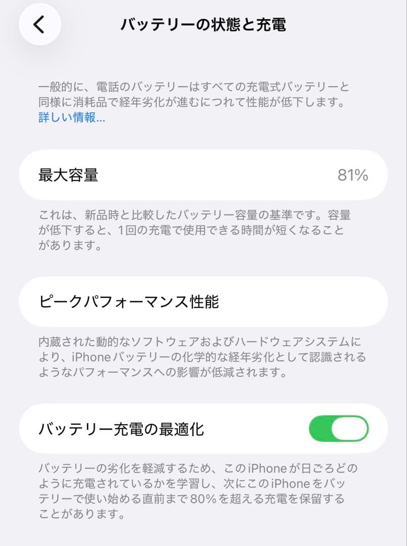 iPhone12 pro max 256GB 海外版 無音シャッター