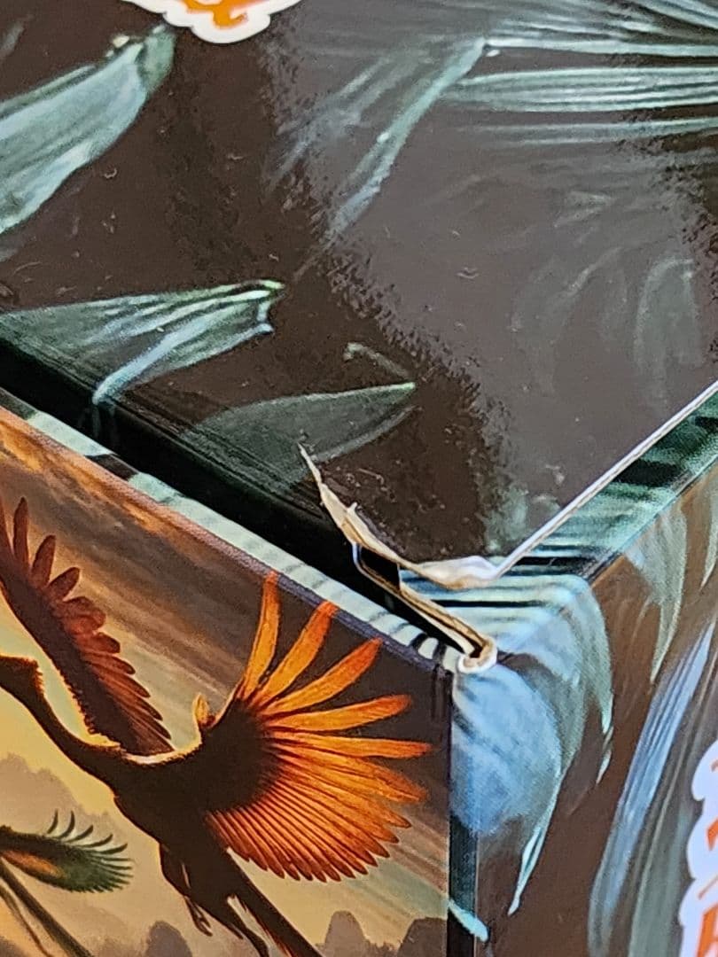 新政　頒布会 2025　第１弾