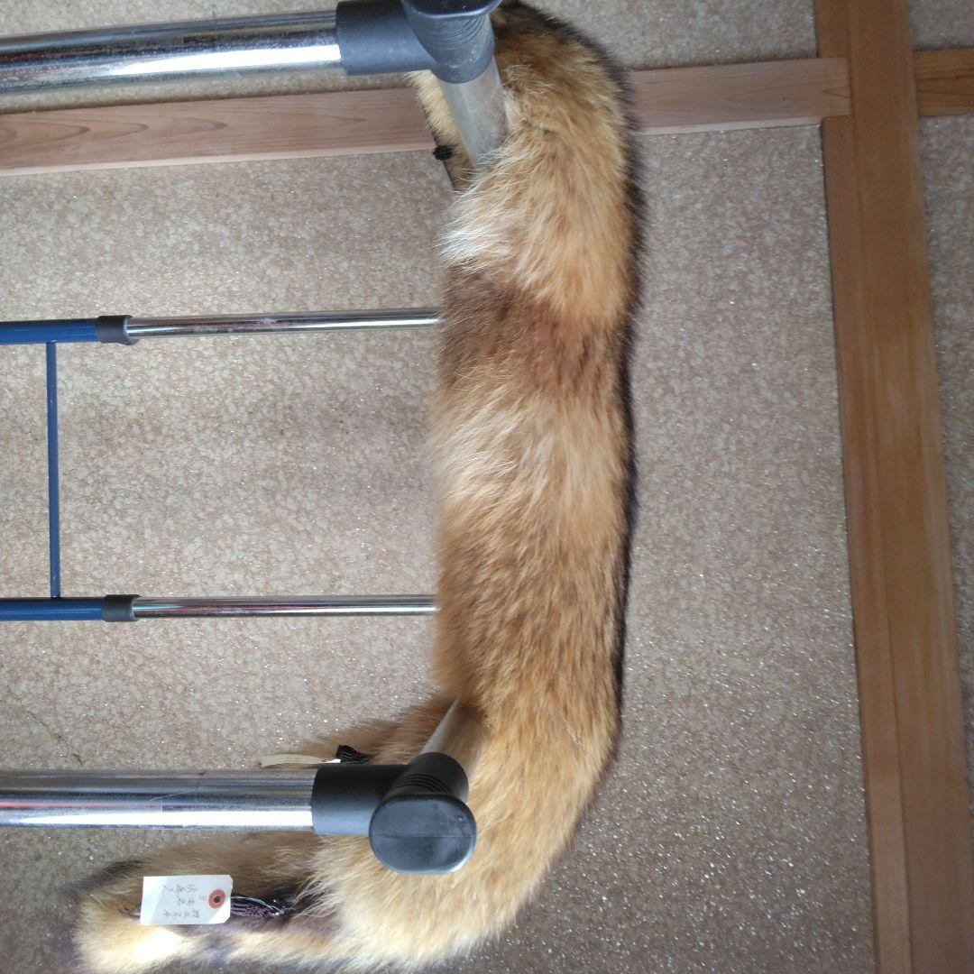 タヌキ剥製　ラクーンドック 毛皮　 小型　マフラー　リアルファー
