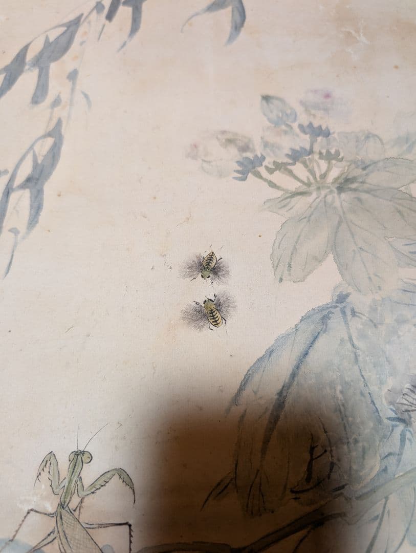 【真作】陳康候 花鳥絵 中国書画　紙本肉筆